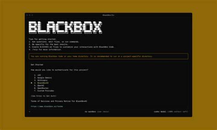 blackbox 攻略で使える観察ポイントの整理イメージ