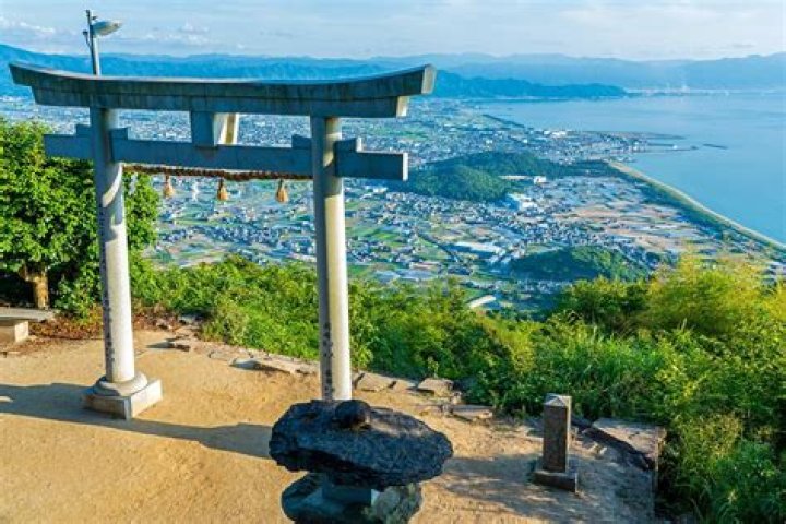 香川県の占い師・豊田さんとは？その評判と実力を徹底解説