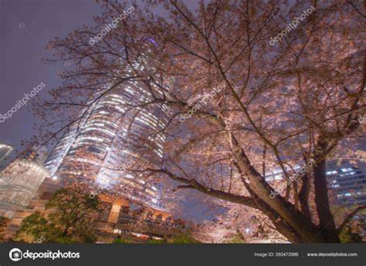 六本木の夜が才能を開花させる理由――東京最先端の舞台裏